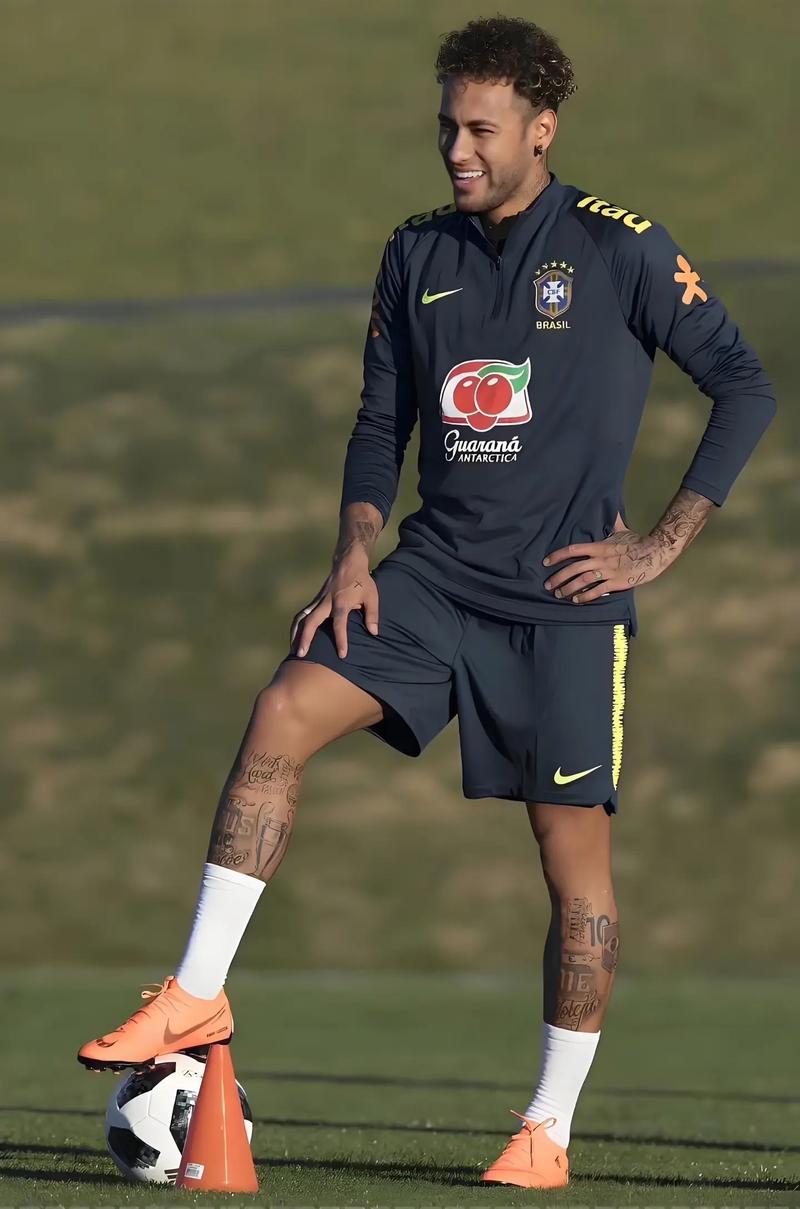 篮板球与盖帽，全面展现（全方位展现篮板与封盖）